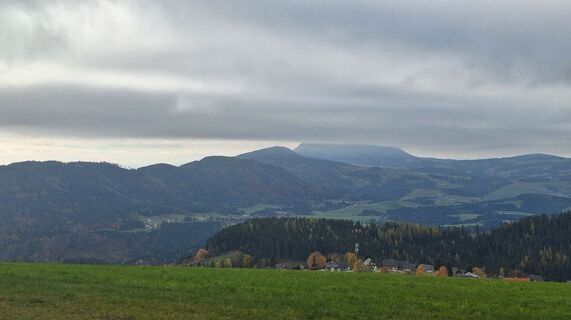 Foto de Regina Fleischmann a lo largo del recorrido