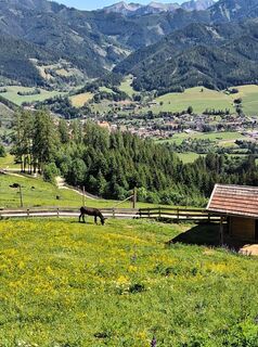 Foto von Gerhard Hubmann 1 entlang der Tour