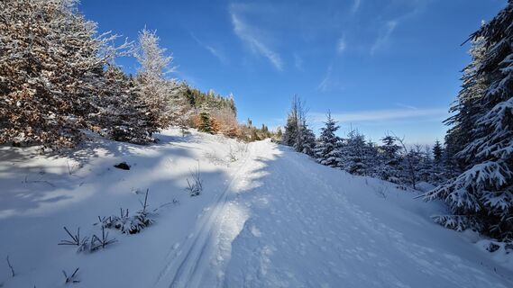 Foto von prager64 entlang der Tour