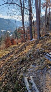 Foto von Monika Gabler entlang der Tour