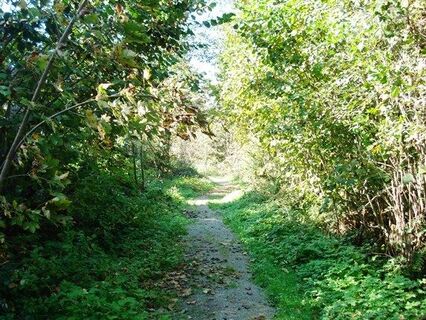 Wanderweg zu Daxlhöfen