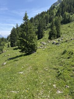 Foto von Andreas Ebert entlang der Tour