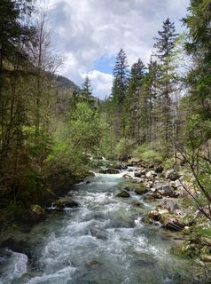 Photo de Tamás Kiss (Mr. Mojo) le long du parcours