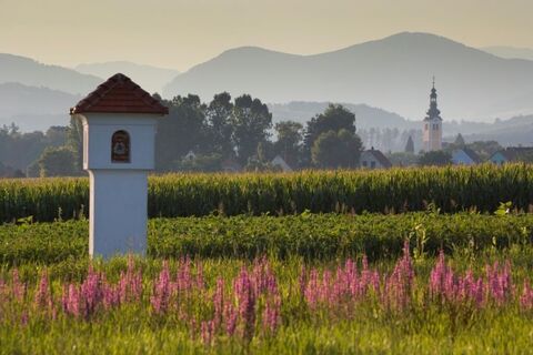 Blick auf St. Ruprecht an der Raab, Oststeiermark