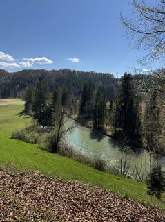 Zdjęcie z Denise Miller wzdłuż trasy