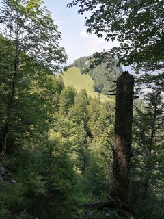 Gamsschaukopf