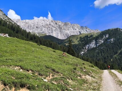 Photo de Jennerwein le long du parcours