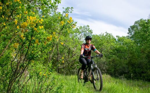 VTT-Strecke 14 Haut-Var