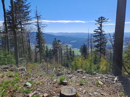Foto von Wanderbursche66 entlang der Tour