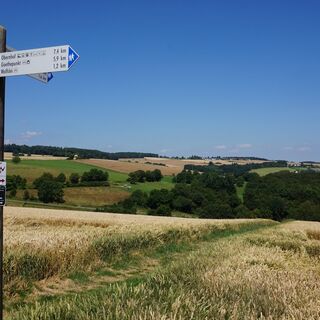 Wegweiser bei Dörnberg