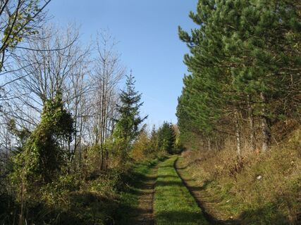 Geländ - Packles - Springles