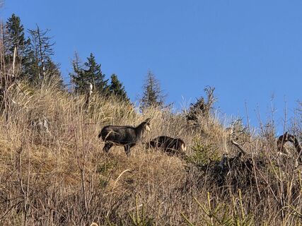 Foto von Zahrni78 entlang der Tour