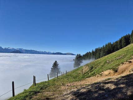 Photo de Markus Christen le long du parcours