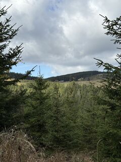 Photo de Reinhard Frewein le long du parcours