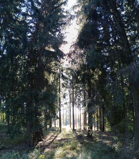 Photo de Pinzger Petra ♀️?? le long du parcours
