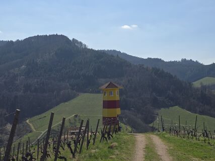 Zdjęcie z Michel Kennel wzdłuż trasy