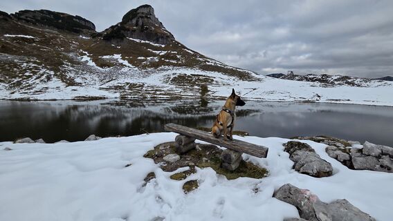 Photo de Jennifer Herbst le long du parcours