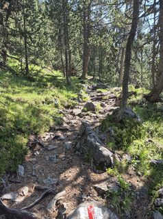 Photo from Thomi W along the tour