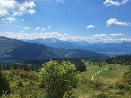 Photo de Julia Esterer le long du parcours