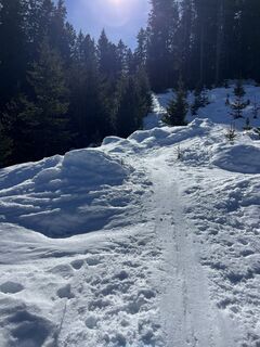 Foto de Heikoala a lo largo del recorrido