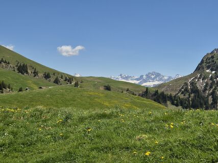 Photo de alinradu le long du parcours