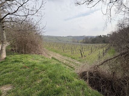 Foto von Wolfgang Feichtinger entlang der Tour