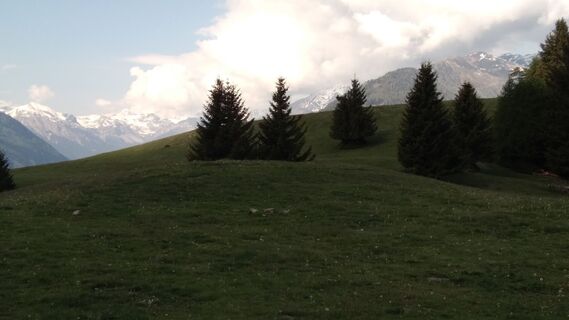 Foto von Hannelore Moriggl entlang der Tour