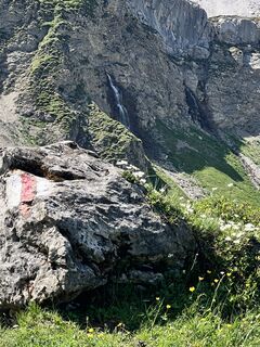 Foto von S.A.M. entlang der Tour
