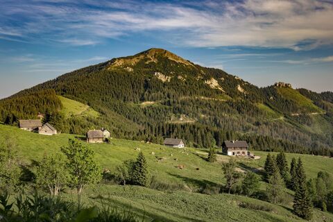 Die Turnaueralm