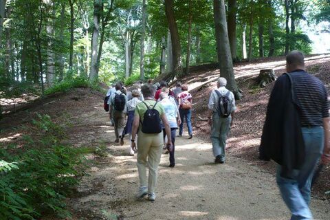 Wandern im Reichswald