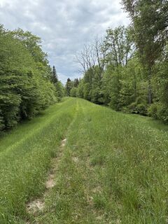 Foto von Kristijan Držaj entlang der Tour