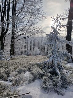 Fotografia z Daniel Kremiec na trase