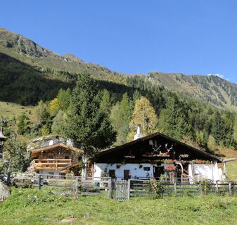 Steinalm