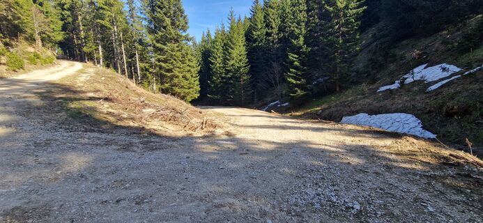 Foto von Utassy Tóth Johanna entlang der Tour