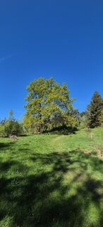 Fotografia z Bruunoo na trase