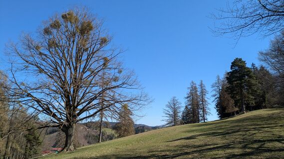 Fotografie z chrim na trase
