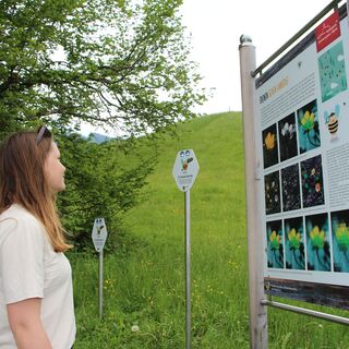 Bienenweg Bad Kohlgrub - Informationstafel