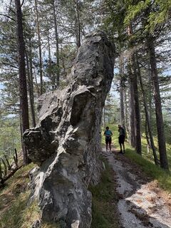 Foto von Moonytiger entlang der Tour