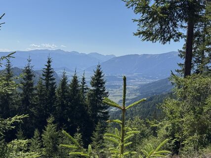 Photo de Henry Pieper le long du parcours