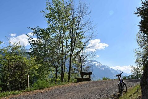 Unterwegs zur Hängebruecke Underweidligraben - Sitzbank zwischen Brienz und der Hängebrücke