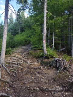 Fotografija s spletne strani Barbara Galle na poti