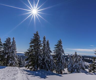 Winterlandschaft am Feldberg