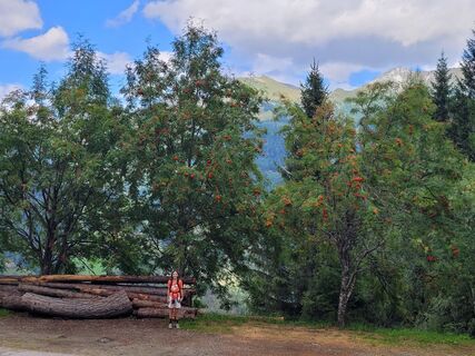 Fotografija s spletne strani Holger Turban na poti