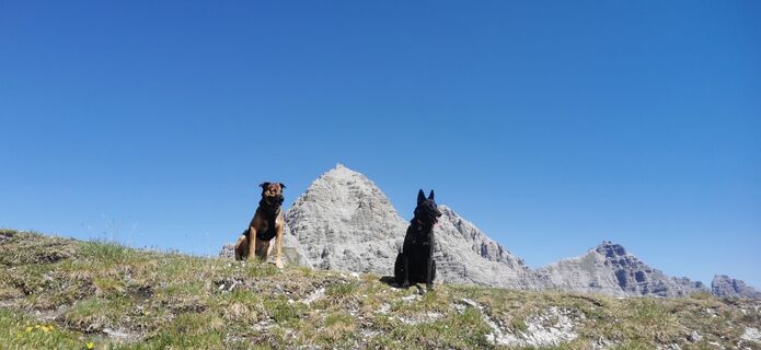 Fotografija s spletne strani Claudia Hinteregger na poti