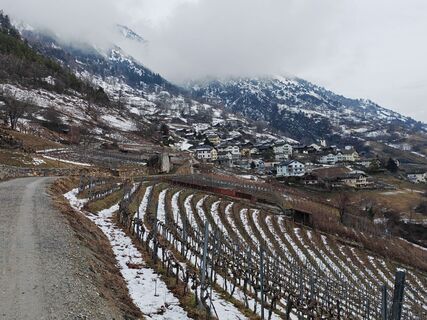 Photo de mitjavodeb le long du parcours