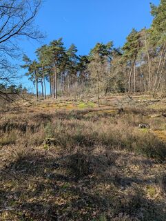 Photo de Matje Derks le long du parcours