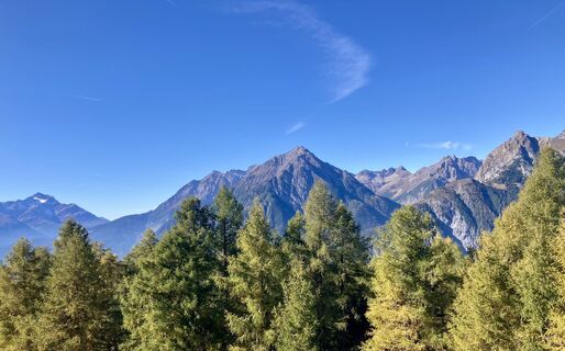 Foto de Markus Thöni a lo largo del recorrido