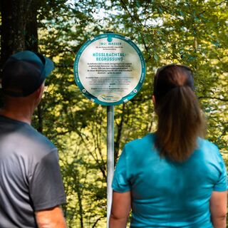 Schild Donauresonanzweg lesen
