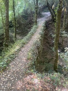 Foto de André Pohlmann a lo largo del recorrido