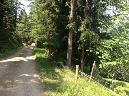 Wanderweg Nr. 50 unterhalb der Wieslechalm